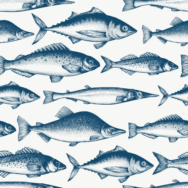 Padrão sem emenda de peixe. Ilustração de peixes vetoriais desenhados à mão. En En — Vetor de Stock