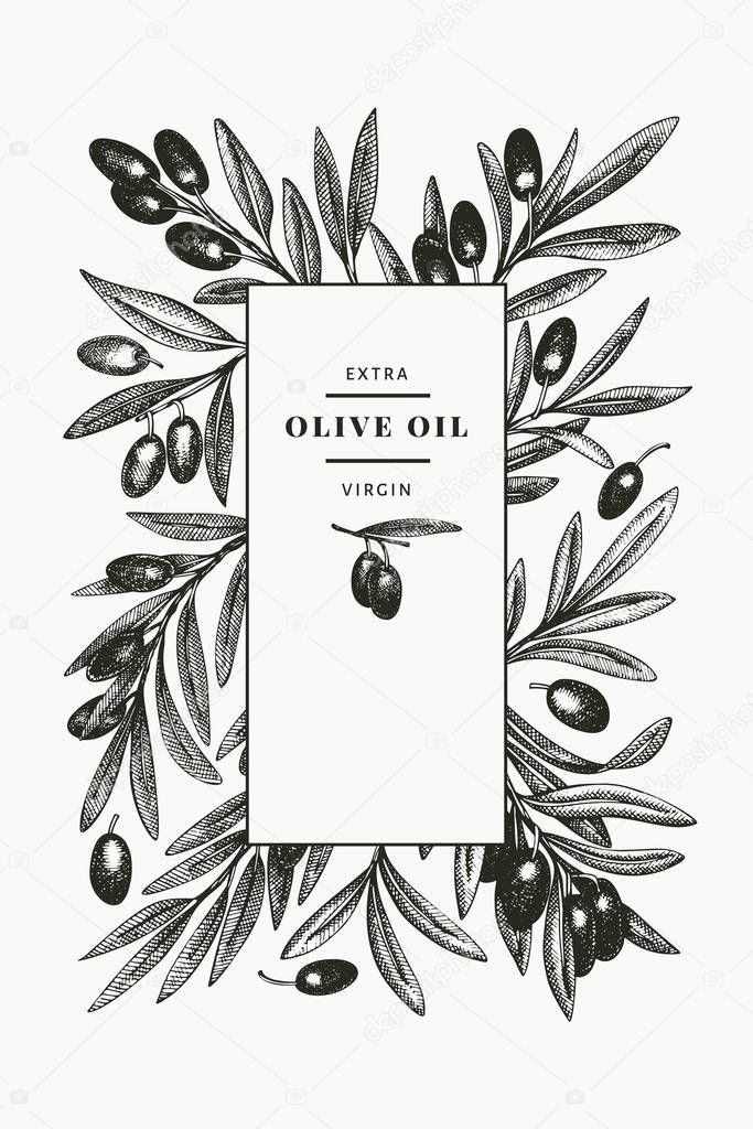 Olive branch design template. Hand drawn vector food illustration. Engraved style mediterranean plant. Vintage botanical picture.