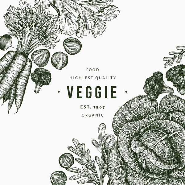 Dibujo Dibujado Mano Diseño Verduras Plantilla Banner Alimentos Frescos Orgánicos — Vector de stock