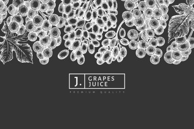 Üzüm tasarımı şablonu. Tebeşir tahtasında el çizimi üzümlü üzüm çizimi. İşlenmiş stil klasik botanik afişi.