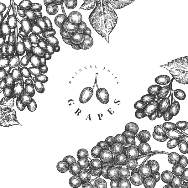 Виноград Дизайн Шаблон Ручной Рисунок Векторной Ягоды Винограда Гравированный Винтажный — стоковый вектор