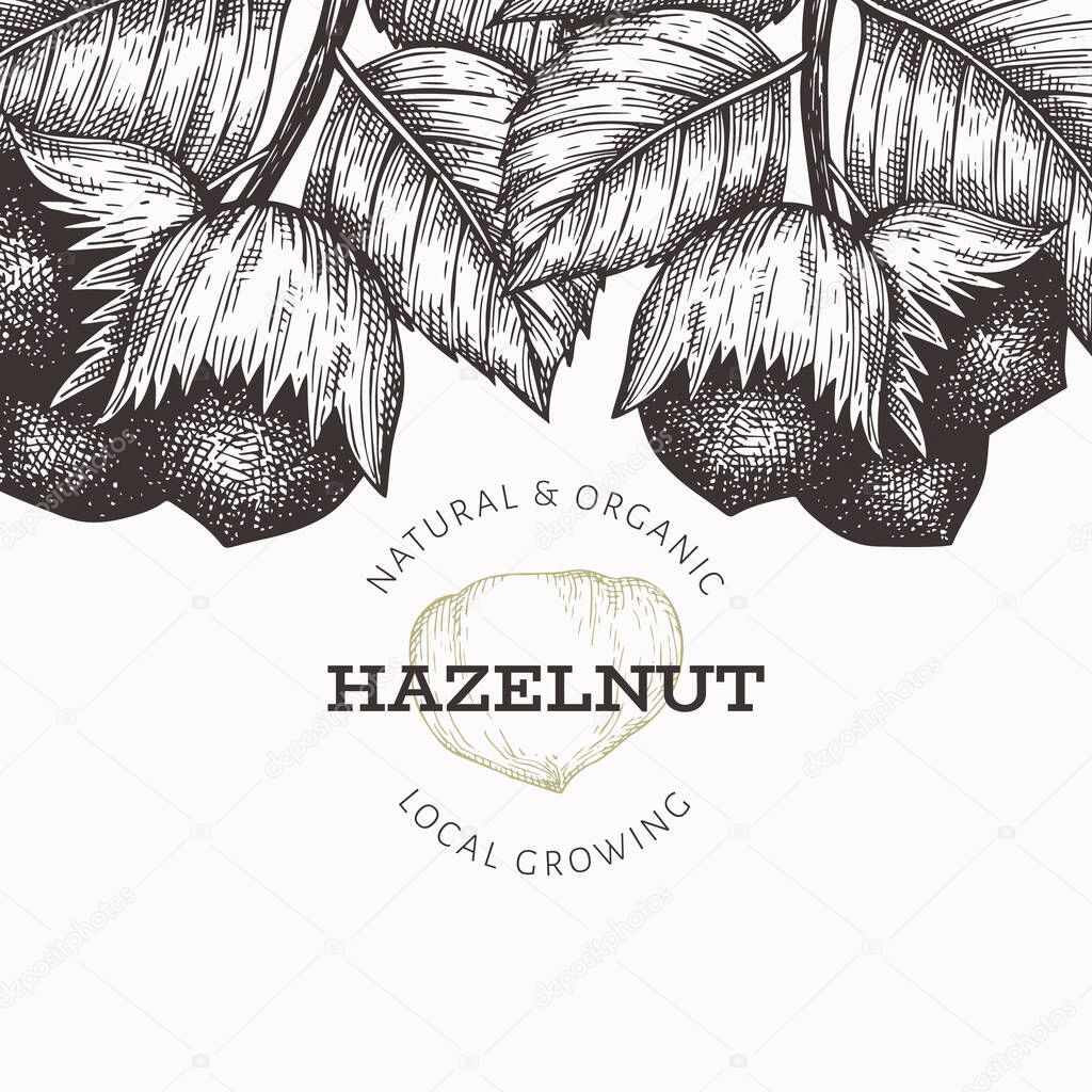 Hand drawn sketch hazelnut design template. Organic food vector illustration on white background. Retro nut illustration. Engraved style botanical background.