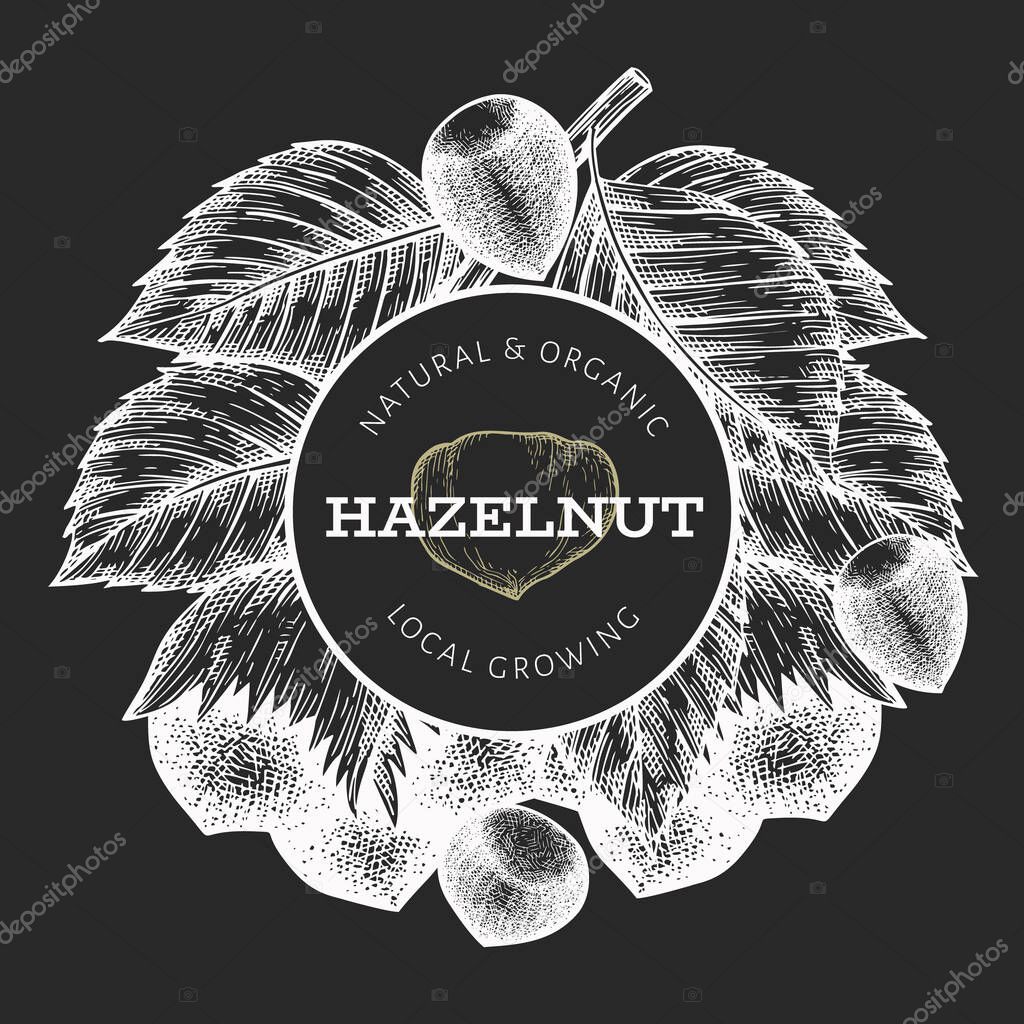 Hand drawn sketch hazelnut design template. Organic food vector illustration on chalk board. Retro nut illustration. Engraved style botanical background.
