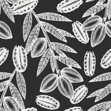 El yapımı ceviz dalı ve çekirdekler pürüzsüz desen. Tebeşir tahtasında organik gıda vektör çizimi. Retro fındık çizimi. İşlenmiş biçim botanik resim.