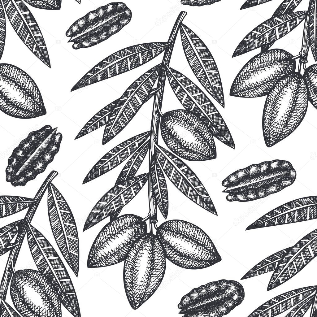 Hand drawn pecan branch and kernels seamless pattern. Organic food vector illustration on white background. Retro nut illustration. Engraved style botanical picture.