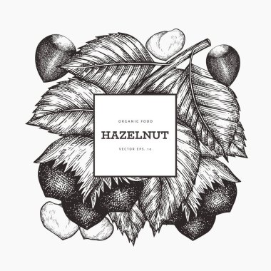El çizimi fındık tasarımı şablonu. Beyaz arka planda organik gıda vektör illüstrasyonu. Klasik fındık çizimi. İşlenmiş biçim botanik arkaplanı.