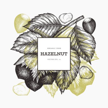 El çizimi fındık tasarımı şablonu. Beyaz arka planda organik gıda vektör illüstrasyonu. Klasik fındık çizimi. İşlenmiş biçim botanik arkaplanı.