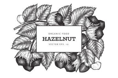 El çizimi fındık tasarımı şablonu. Beyaz arka planda organik gıda vektör illüstrasyonu. Klasik fındık çizimi. İşlenmiş biçim botanik arkaplanı.