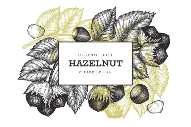 El çizimi fındık tasarımı şablonu. Beyaz arka planda organik gıda vektör illüstrasyonu. Klasik fındık çizimi. İşlenmiş biçim botanik arkaplanı.