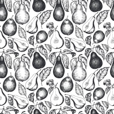 Yapraksız armut deseni. El çizimi vektör bahçesi meyve çizimi. Oymalı meyve tasarımı. Retro botanik arkaplan.