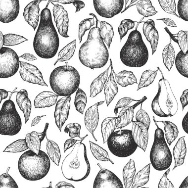 Armut ve elma pürüzsüz desen. El çizimi vektör bahçesi meyve çizimi. Oymalı meyve tasarımı. Retro botanik arkaplan.