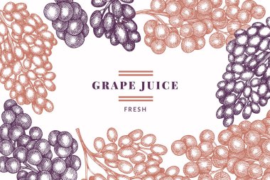 Üzüm tasarımı şablonu. El çizimi üzümlü üzüm çizimi. İşlenmiş stil geçmişe dönük botanik afişi.