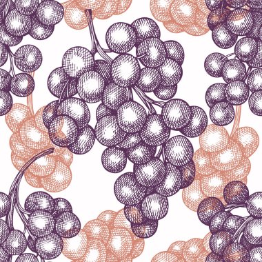 Üzümsüz desen. El çizimi üzümlü üzüm çizimi. İşlenmiş stil retro botanik arkaplan.
