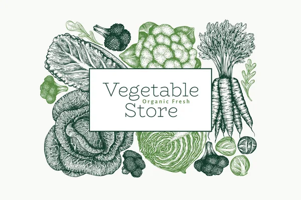 手绘素描蔬菜设计 有机新鲜食品载体模板 复古蔬菜背景 雕刻风格的植物学插图 — 图库照片