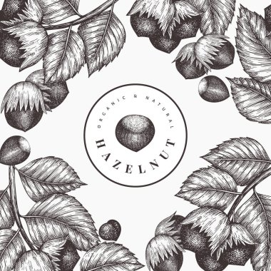 El çizimi fındık tasarımı şablonu. Beyaz arka planda organik gıda vektör illüstrasyonu. Klasik fındık çizimi. İşlenmiş biçim botanik arkaplanı.