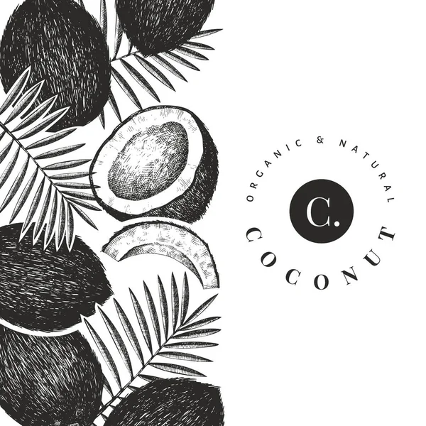 Coco Con Plantilla Diseño Hojas Palma Ilustración Alimentos Vectoriales Dibujado — Archivo Imágenes Vectoriales