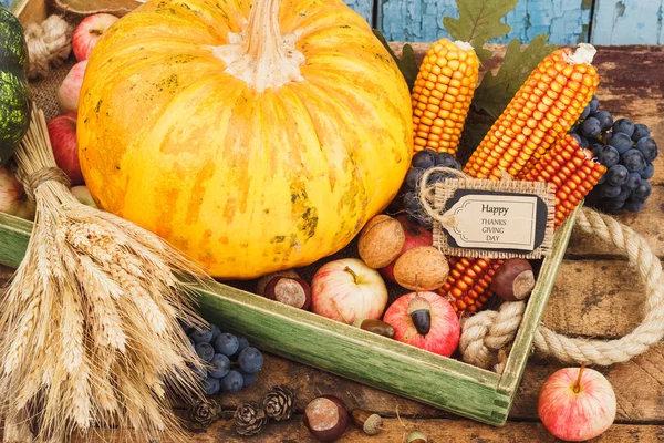 Día de Acción de Gracias: Bandeja de diferentes verduras de otoño — Foto de Stock