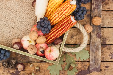 Şükran günü: farklı sebze tepsisi