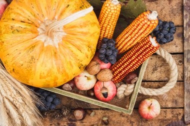 Şükran günü: farklı sonbahar sebze tepsisi