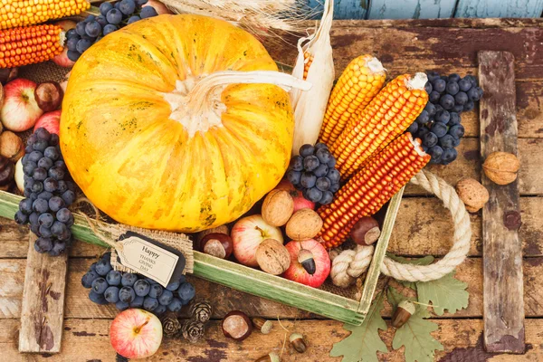 Hálaadás napja: tálca, különböző őszi zöldségek — Stock Fotó