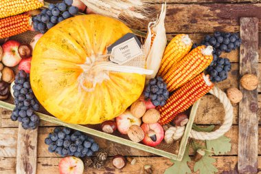 Şükran günü: farklı sonbahar sebze tepsisi