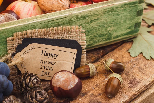 Ημέρα των Ευχαριστιών: δίσκος από διάφορα λαχανικά — Φωτογραφία Αρχείου