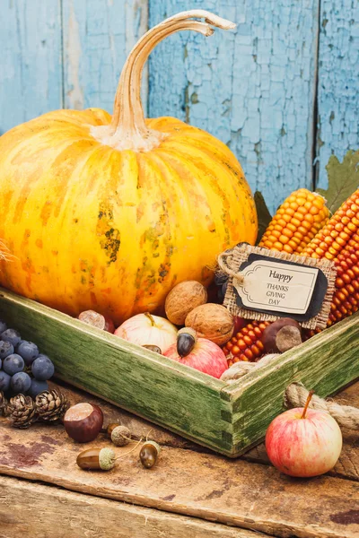 Día de Acción de Gracias: Bandeja de diferentes verduras de otoño — Foto de Stock
