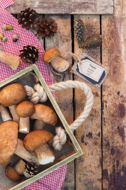 Çiğ beyaz mantar, çam kozalakları ve dekoratif etiketi
