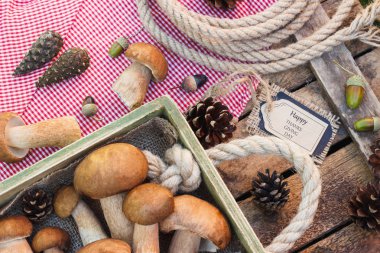 Çiğ beyaz mantar, çam kozalakları ve dekoratif etiketi