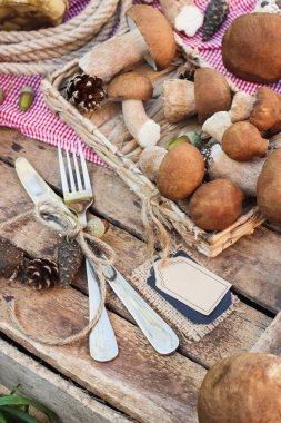 Çiğ beyaz mantar, çam kozalakları ve dekoratif etiketi
