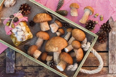 Çiğ beyaz mantar, çam kozalakları ve dekorasyon