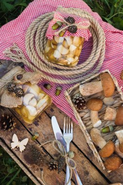 Çiğ beyaz mantar, çam kozalakları ve dekorasyon