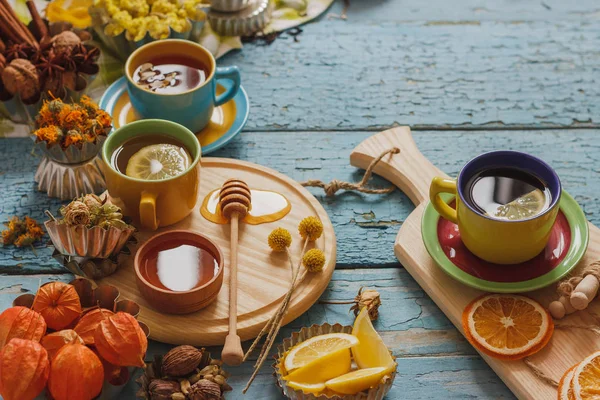 Φλιτζάνια τσάι βοτάνων με διαφορετικές διακοσμήσεις — Φωτογραφία Αρχείου