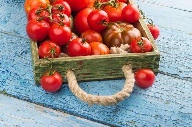 Kırmızı domates tür farklı set