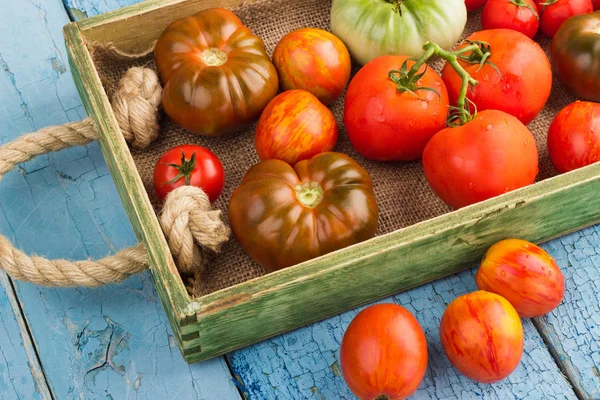 Conjunto de diferentes tipos de tomates maduros en la bandeja de madera — Foto de Stock