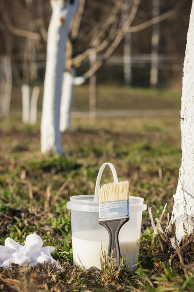 Spring protection of fruit trees in the garden — Stock Image Spring protection of fruit trees in the garden Stock Image