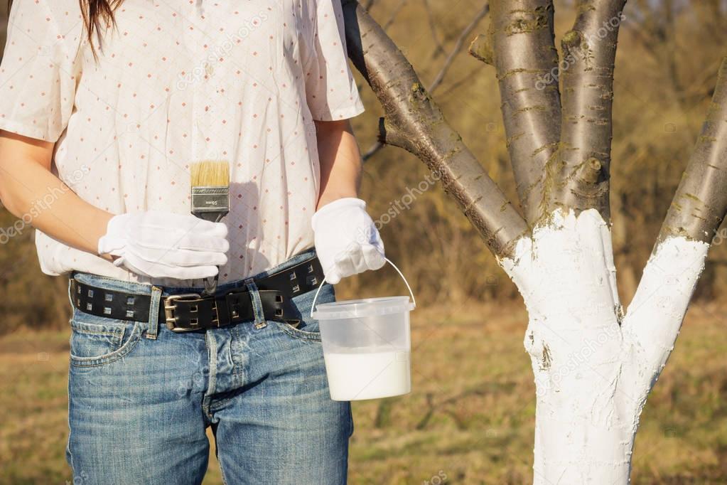 Spring protection of fruit trees in the garden