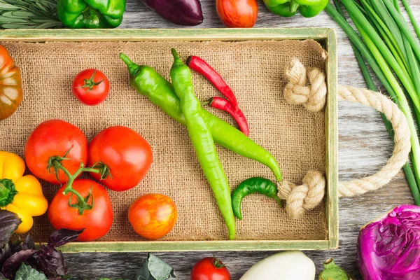 Set of vegetables in the tray — Stock Photo, Image
