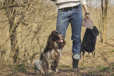 Kadın ve ormandaki kahverengi cocker spaniel