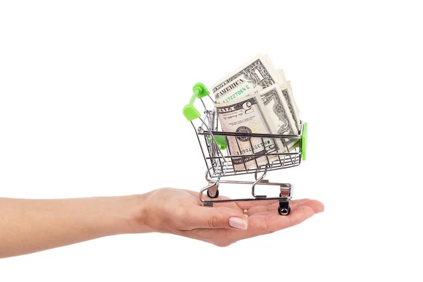 Dólares americanos en el carrito de compras, aislados — Foto de Stock