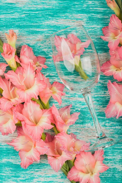 Bicchiere da vino con gladiolo rosa chiaro sullo sfondo azzurro — Foto Stock