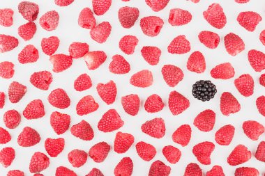 Ahududu ve böğürtlen, izole--dan geçmiş