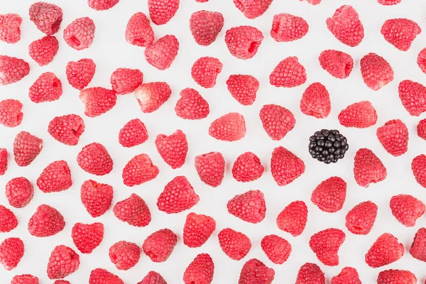 Ahududu ve böğürtlen, izole--dan geçmiş