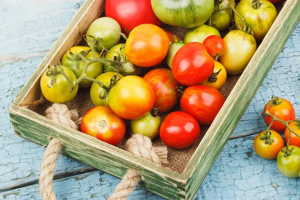 Ahşap tepsi olgun domates tür farklı ayarla