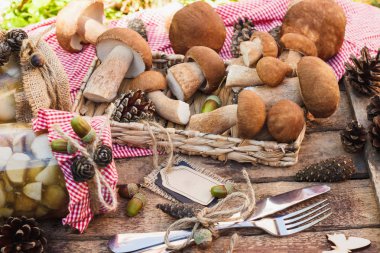 Çiğ beyaz mantar, çam kozalakları ve dekoratif etiketi