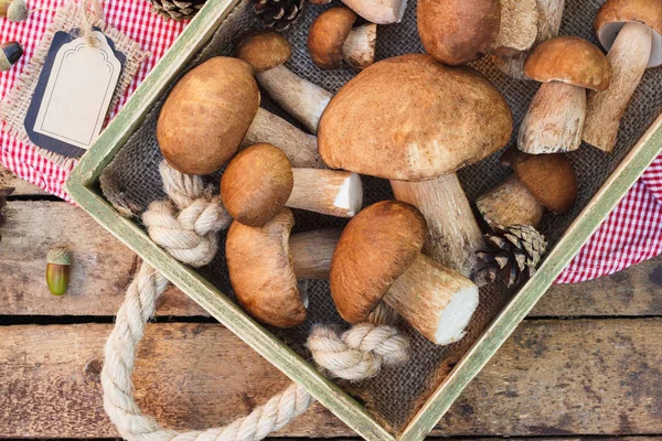 Çiğ beyaz mantar, çam kozalakları ve basit bir metin etiketi