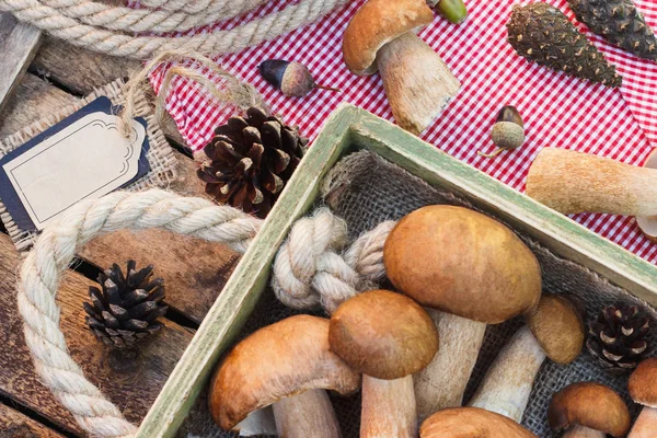 Çiğ beyaz mantar, çam kozalakları ve dekoratif etiketi