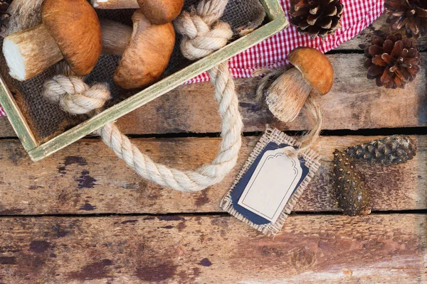 Çiğ beyaz mantar, çam kozalakları ve dekoratif etiketi