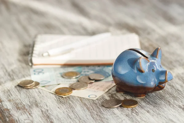 Polonya Zlotisi, defter ve kumbara ahşap arka plan üzerinde