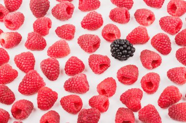 Ahududu ve böğürtlen, izole--dan geçmiş